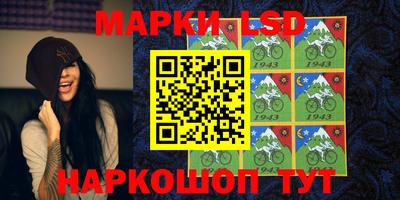 молекула духа Пугачёв