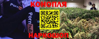 меф Пушкино