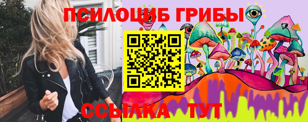 где купить   Галлюциногенные грибы Psilocybe  Псилоцибиновые грибы GOLDEN TEACHER  Вход с VPN  Карабулак 