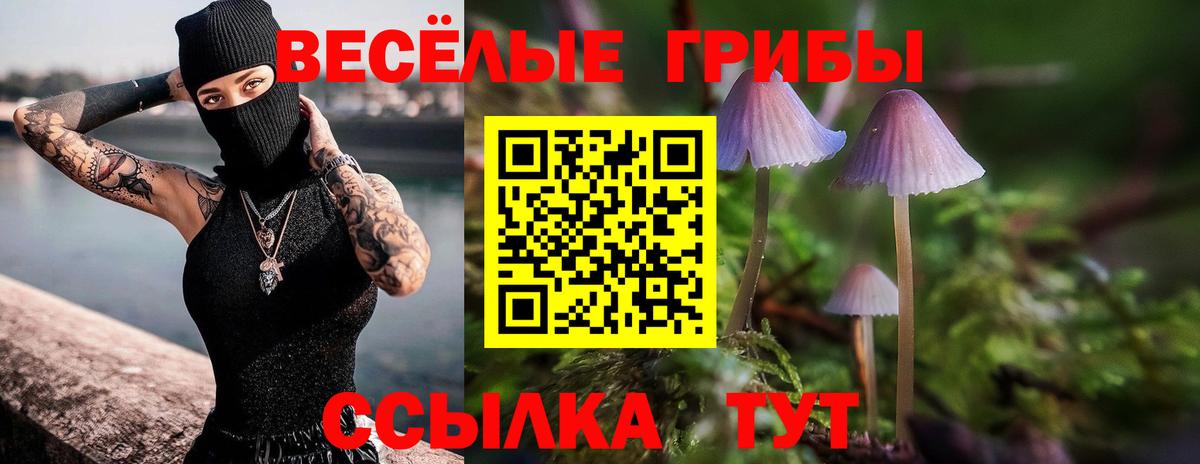 Псилоцибиновые грибы GOLDEN TEACHER Карабулак